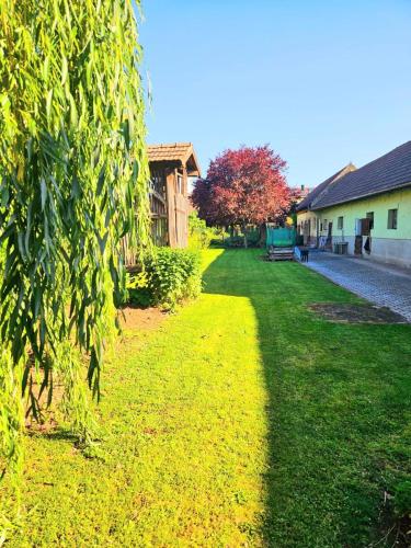 Zahrada ubytování Ferienwohnung Koppi