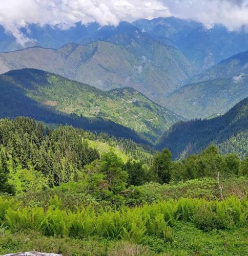 a view of a mountain valley with trees and mountains at Little Forest Homestay in Gushaini