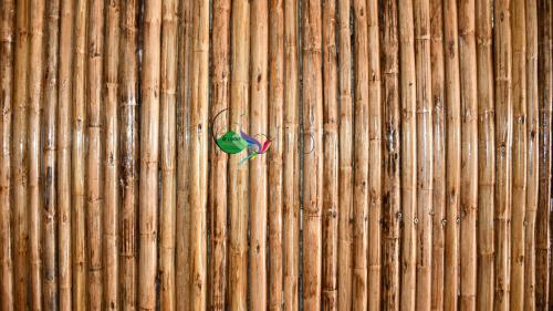 Fotografie z fotogalerie ubytování O Logis du Morne Jacob "COLIBRI", Le Morne-Rouge Martinique v destinaci Le Morne Rouge