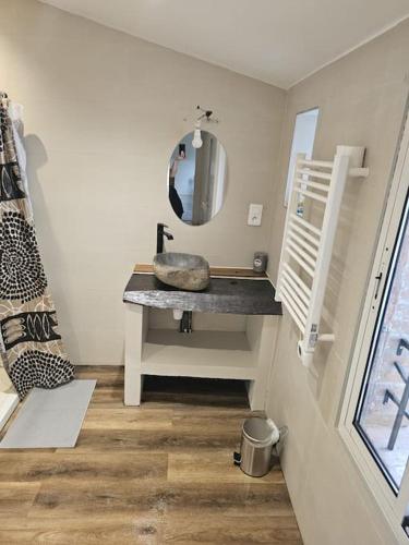 une salle de bain avec un lavabo et un miroir dans l'établissement L'Aristide proche gare parking facile, à Montauban