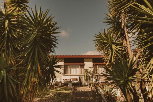 a house with palm trees in front of it at 4 Bedroom Mid-Century Home with Ocean Views in Bundeena