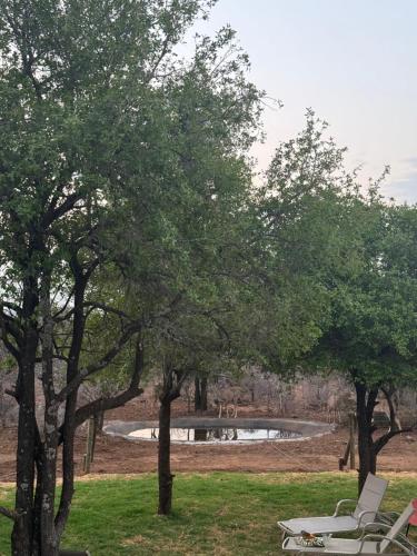 a couple of chairs sitting next to a pond at Umoya Safari Lodge in Matlhagame