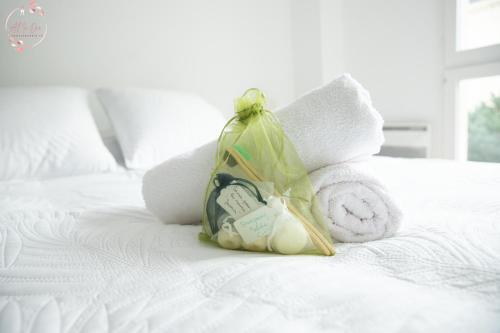 Hermès Apartment - Versailles Château