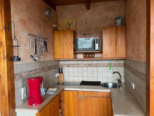 a small kitchen with a sink and a microwave at Bergfincahäuschen in Santa Cruz de Tenerife