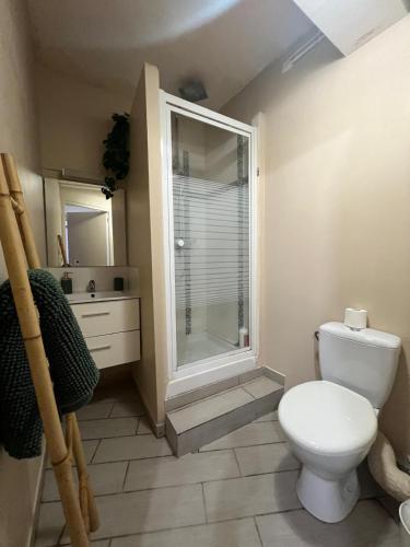 une salle de bain avec toilettes et douche en verre dans l'établissement Hyper centre - proche Castillet, à Perpignan