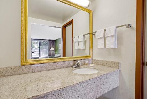 a bathroom with a sink and a mirror at Days Inn by Wyndham Bradenton - Near the Gulf in Bradenton