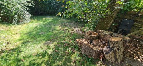 Un jardín fuera de Apartmány Orlová
