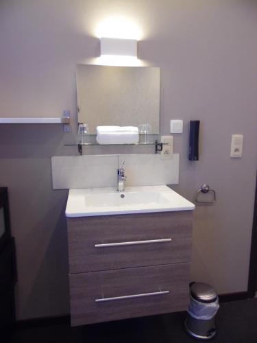 a bathroom with a sink and a mirror at Vakantielogies Cathedral in Ghent