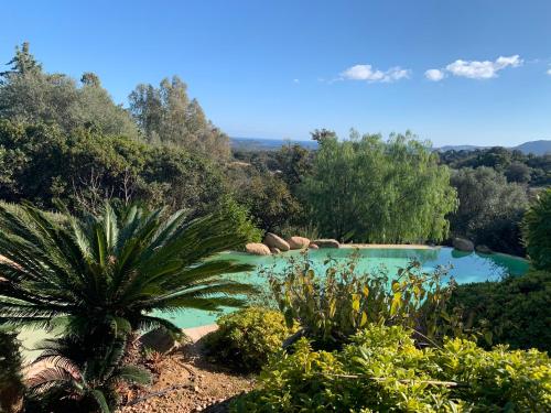 une piscine dans un jardin planté d'arbres et de plantes dans l'établissement Chambre Mustang avec piscine Villa CasaEva, à Porto-Vecchio