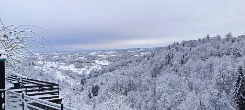 a view of a snow covered mountain with trees at Wellness pod zvezdami, Maribor - PRIVATE in Maribor