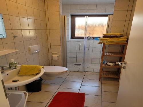 a bathroom with a toilet and a sink and a shower at Apartment in Neßmersiel mit Terrasse in Neßmersiel