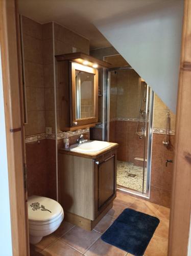 une salle de bain avec toilettes, lavabo et douche dans l'établissement Jolie chambre châlet Chez Marine, à Gilly-sur-Isère