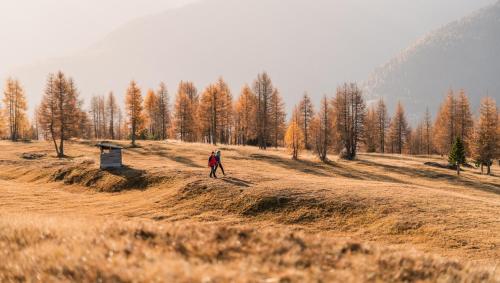 a person walking in a field with trees in the background at Der Paternwirt in Maria Luggau