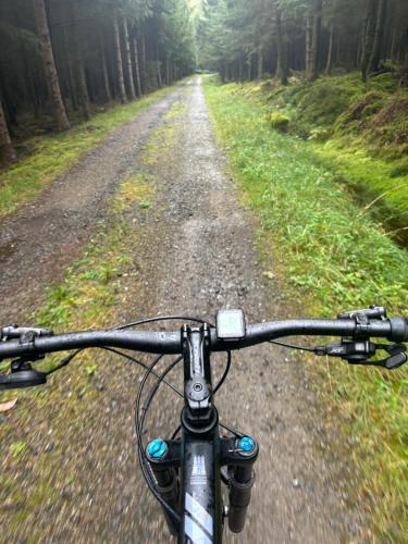 Una vista del manillar de una bicicleta en un camino de tierra. en Studio Awenne, en Saint-Hubert