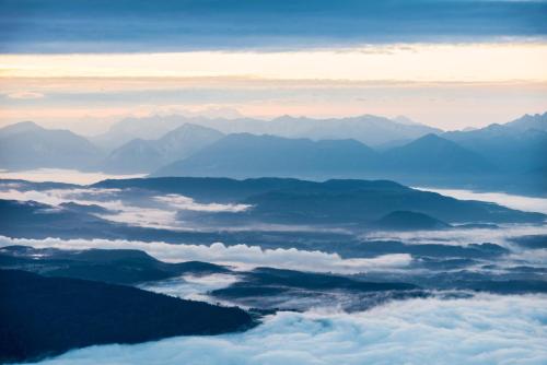 アパートメントの近くで見られる自然の景観
