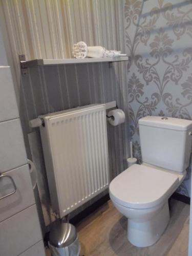a bathroom with a white toilet and a radiator at Vakantielogies Cathedral in Ghent