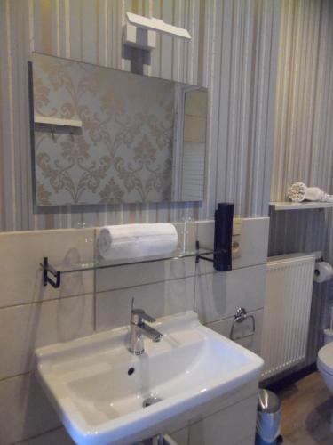 a bathroom with a sink and a mirror and a toilet at Vakantielogies Cathedral in Ghent