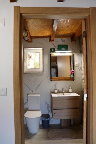 a bathroom with a toilet and a sink and a mirror at Casa do Alto in Oliveira de Frades
