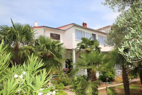 Apartments Araz