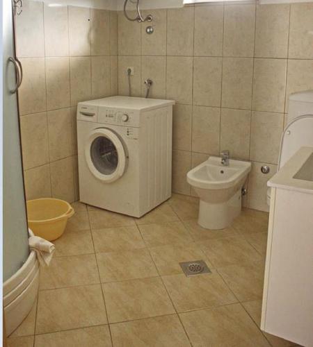 a bathroom with a washing machine and a toilet at Apartment Dita in Nin