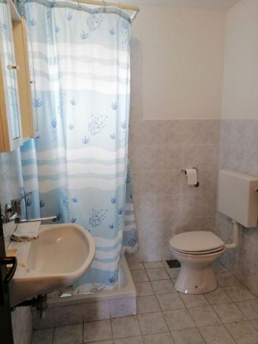 a bathroom with a toilet and a shower curtain at Apartments Branko in Podstražje