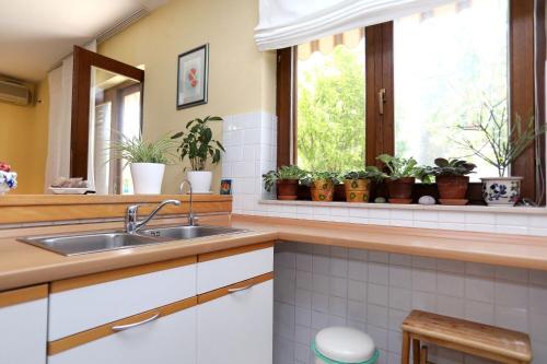Apartment Lidia
