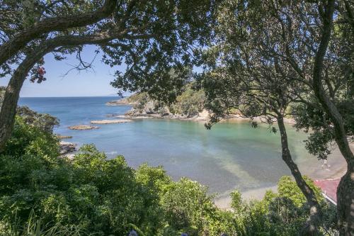a view of a beach with trees and the ocean at Beachfront Enclosure Bay - Waiheke Unlimited in Oneroa