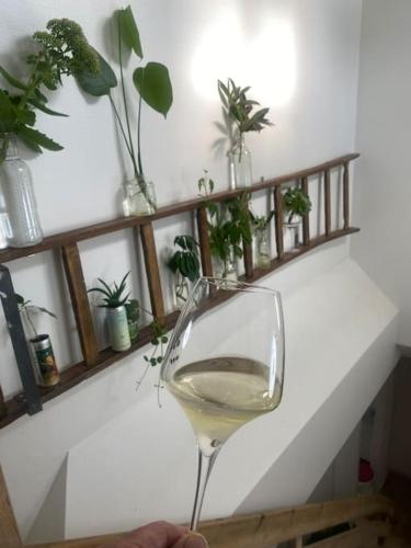 a glass of white wine next to a shelf with potted plants at En SMUK og CHARMERENDE OASE meget tæt på centrum! in Holstebro