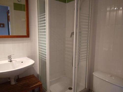 une salle de bain avec douche et lavabo dans l'établissement Studio cosy pour 2 · Balcon · Proche pistes et commerces · Animaux admis - FR-1-181-2234, à La Plagne Tarentaise