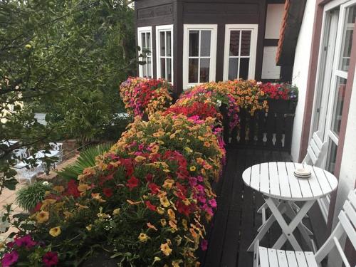 a bunch of flowers in front of a house at Alte Pfarrey in Neuleiningen