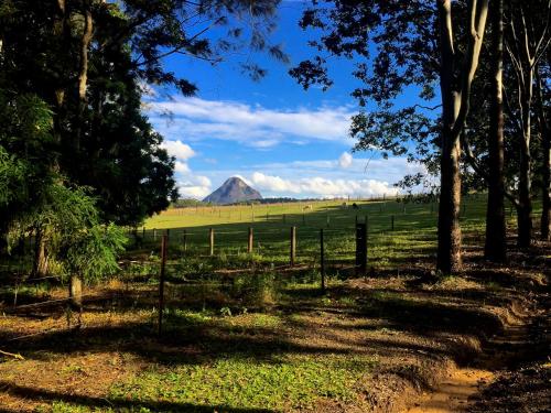 a fence in a field with a mountain in the background at Blackwattle Farm in Beerwah
