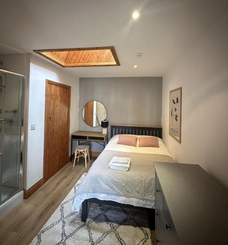 a bedroom with a bed and a bathroom with a skylight at Malahide Guest Rooms in Malahide
