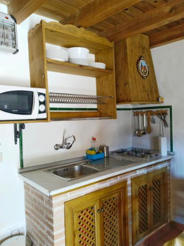 a kitchen with a sink and a microwave at apartamentos turisticos la gitanilla in Los Navalucillos