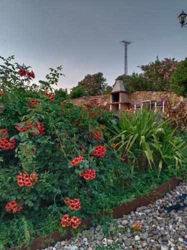 a garden with red flowers on the side of a hill at apartamentos turisticos la gitanilla in Los Navalucillos