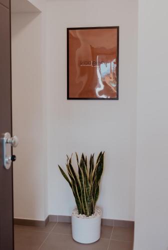 a plant in a white pot on a wall with a picture at VicoLetto Bed and Breakfast in Laino Borgo