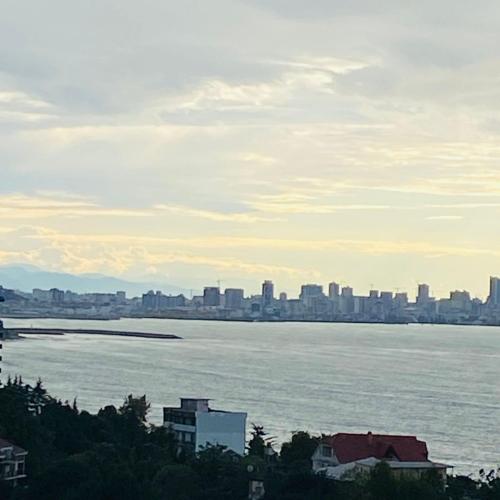 a view of a large body of water with a city at Green House 99 in Batumi