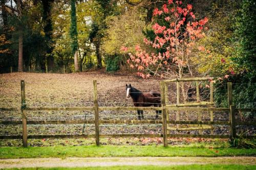 Fotografie z fotogalerie ubytování Broombank v destinaci Burley