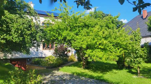a tree in the yard of a house at Apartmán Husovka Bruntál - pokoj MATYAS in Bruntál