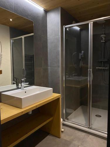 une salle de bain avec un lavabo et une douche dans l'établissement Hôtel et appart'hôtel de l'Hermitage, à Thônes