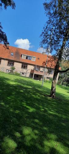 a tree in a field in front of a building at Dybvad Mølle bed and breakfast in Års