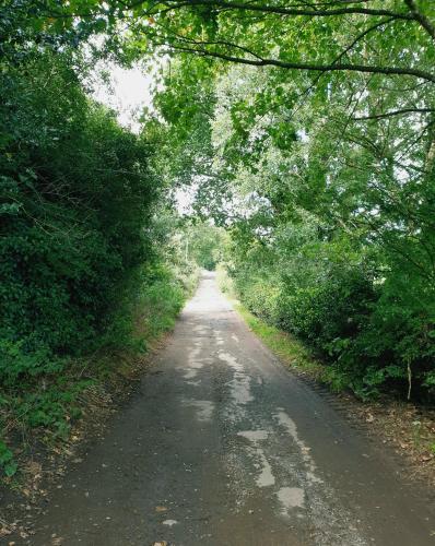 a dirt road with trees on both sides at Beautiful Yurt with stunning South Downs views in Graffham