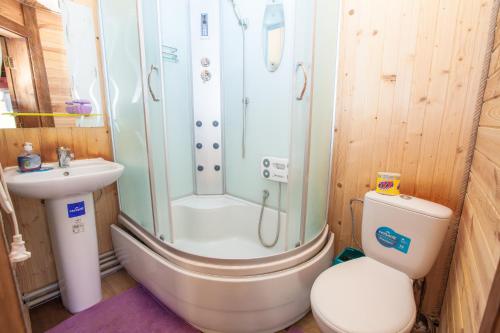 a bathroom with a shower and a toilet and a sink at Skyta in Vorokhta