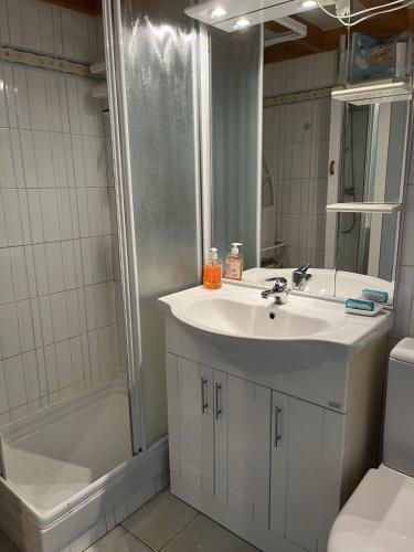 une salle de bain avec un lavabo et une douche dans l'établissement Les Piimprenelles, à Saint-Jean-de-Monts