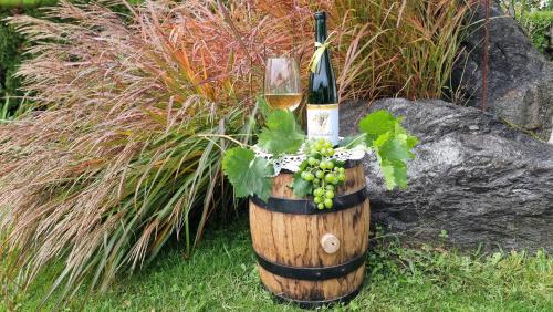 En have udenfor Appartements Schusterhof