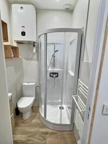 une douche dans une salle de bain avec toilettes dans l'établissement WonderHost, joli studio rénové vers boulevard des Pyrénées, à Pau