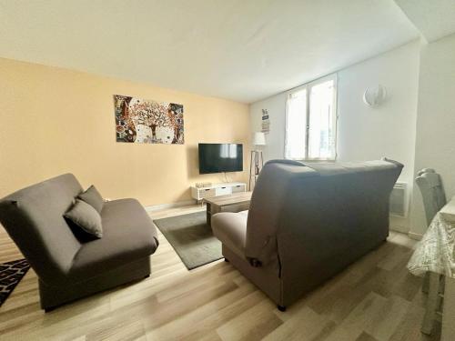 - un salon avec un canapé, une chaise et une télévision dans l'établissement L'Évêché lumineux et zen, à Limoges