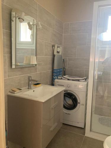 une salle de bain avec un lavabo et une machine à laver dans l'établissement Joli Studio Gréoux Les Bains, à Gréoux-les-Bains