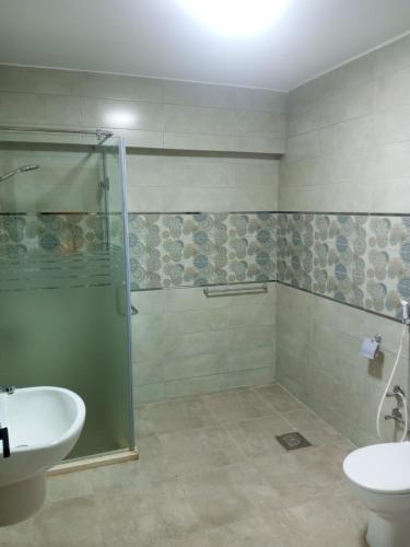 a bathroom with a shower and a sink and a toilet at Pyramids Nights Hostel in Cairo