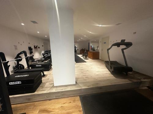 Fitness centrum a/nebo fitness zařízení v ubytování Riva Lake Lodge