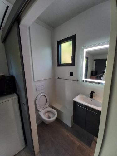 une salle de bain avec toilettes, lavabo et miroir dans l'établissement Tiny house dans l'ouest lyonnais, à Sain-Bel